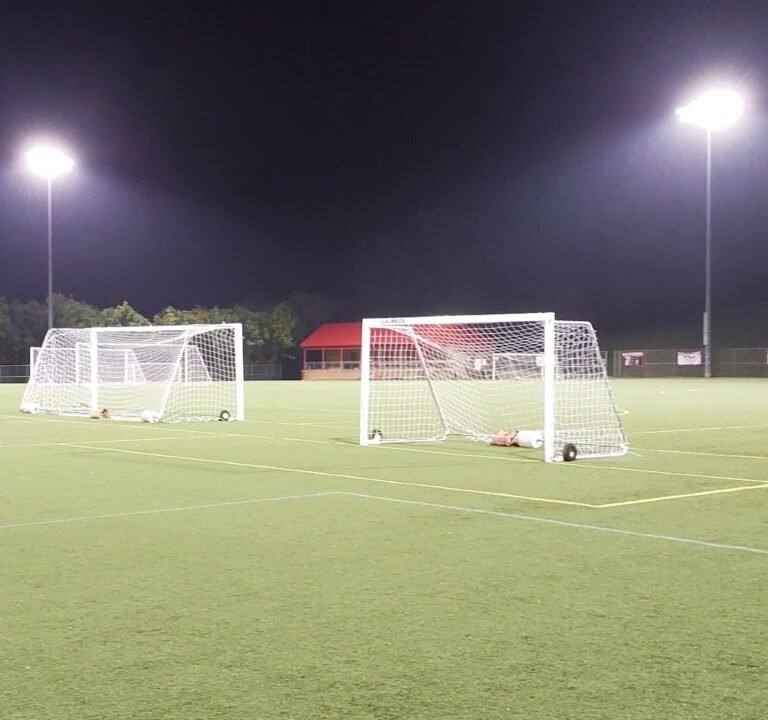 Soccer Field image 2