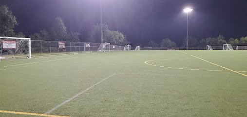 Soccer Field image 1