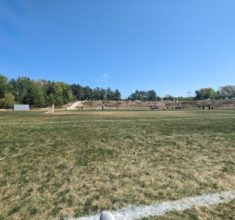 Soccer Field image 2