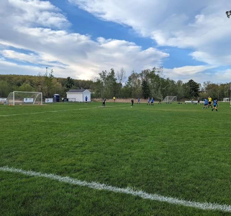 Soccer Field image 3