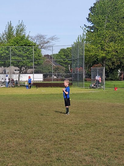Soccer Field image 1