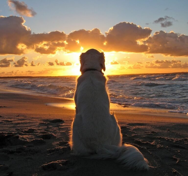 Soccer Field image 3