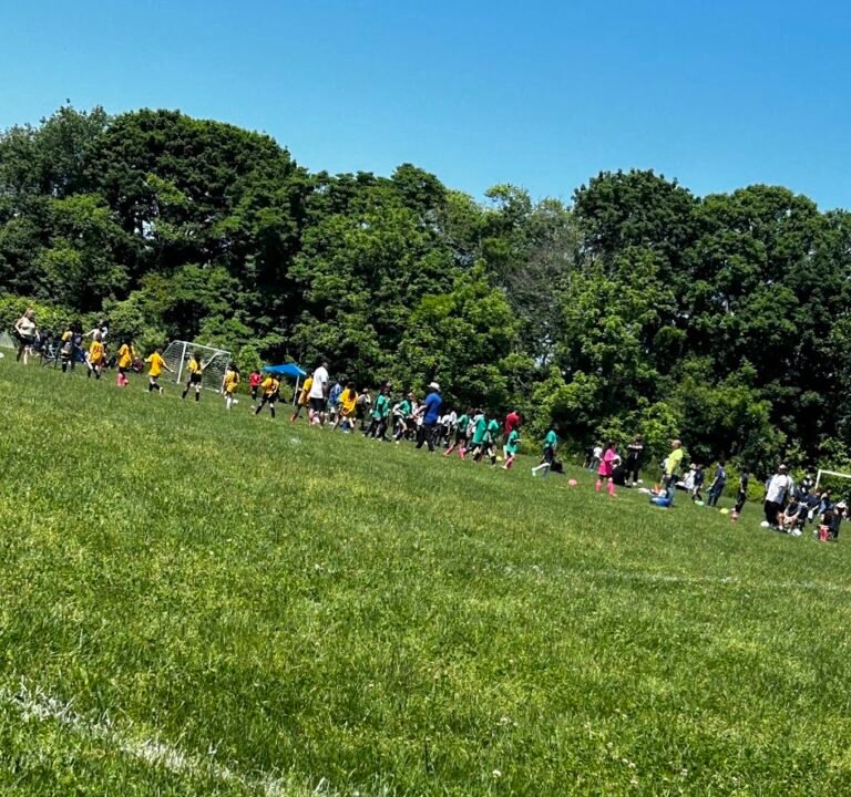 Soccer Field image 2