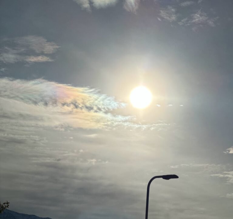 Soccer Field image 3