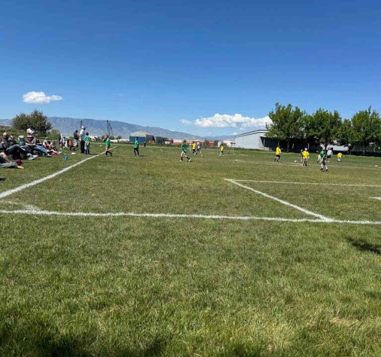 Soccer Field image 2