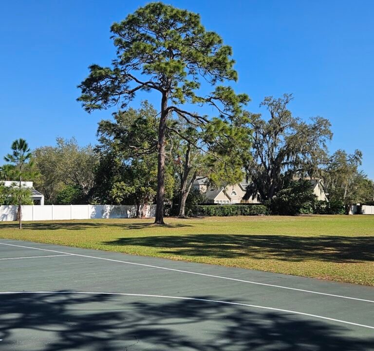 Soccer Field image 3