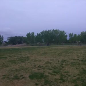 Soccer Field image 1