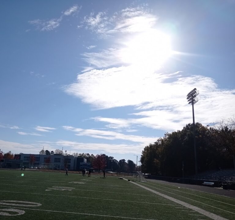 Soccer Field image 2