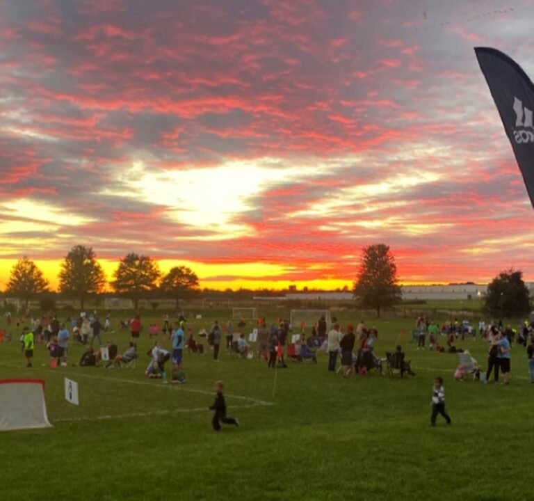 Soccer Field image 2