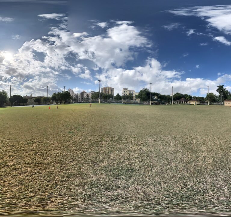 Soccer Field image 2