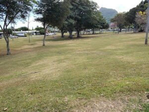 Soccer Field image 1