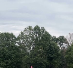 Soccer Field image 3