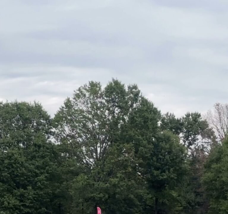 Soccer Field image 3