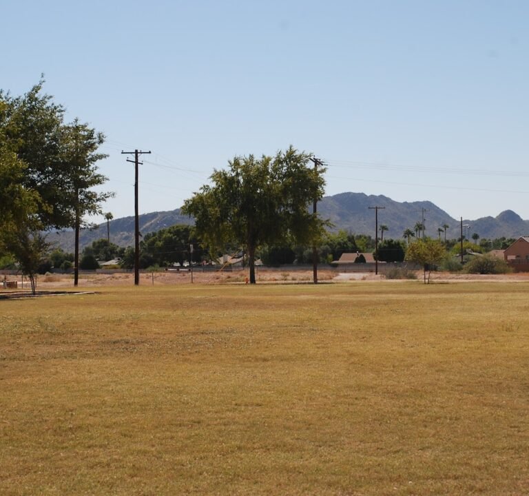 Soccer Field image 3