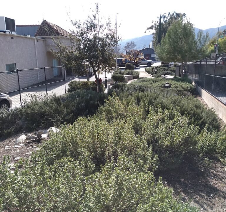 Soccer Field image 2