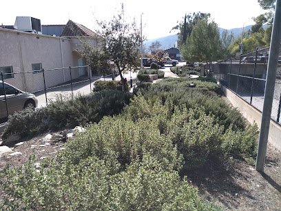 Soccer Field image 1