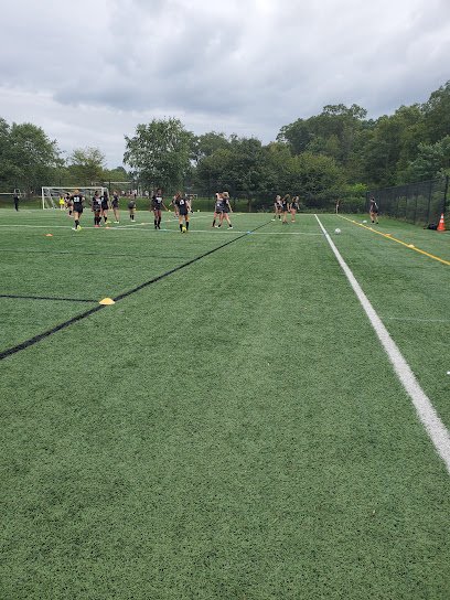 Soccer Field image 1