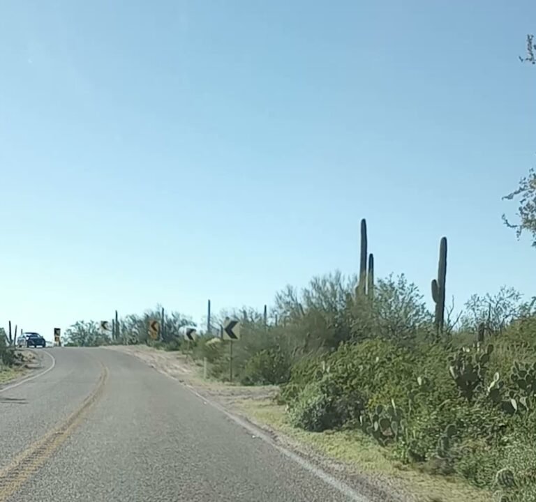 Soccer Field image 4