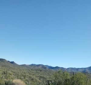 Soccer Field image 2