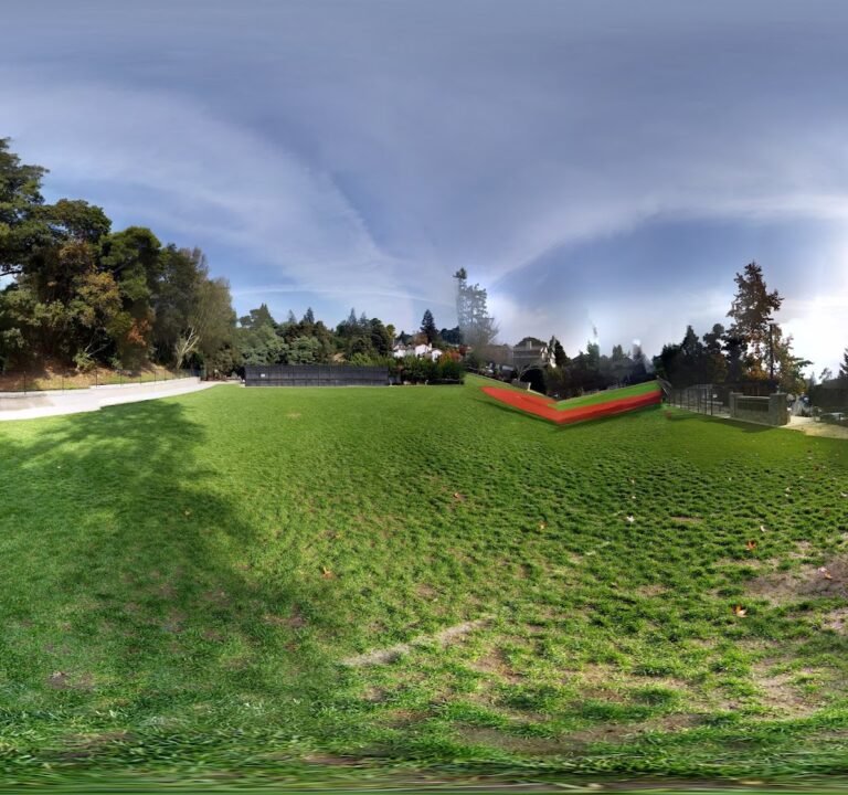 Soccer Field image 3