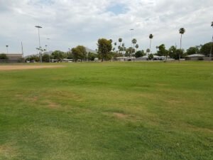 Soccer Field image 1