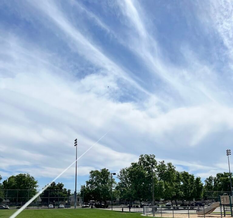 Soccer Field image 2