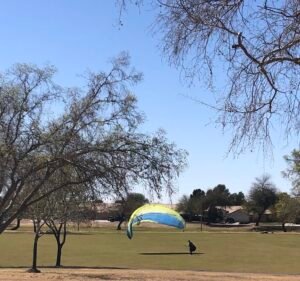 Soccer Field image 3