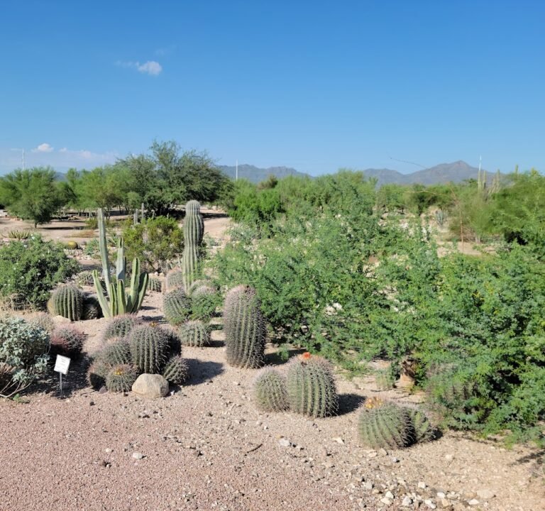 Soccer Field image 2