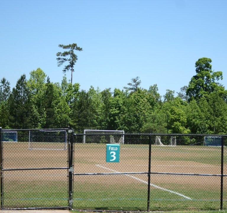 Soccer Field image 2