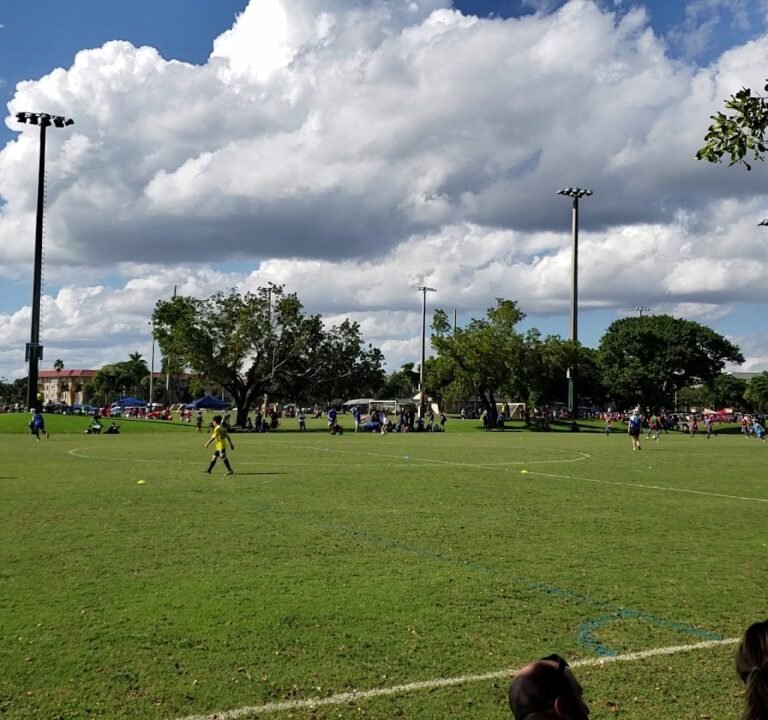 Soccer Field image 2
