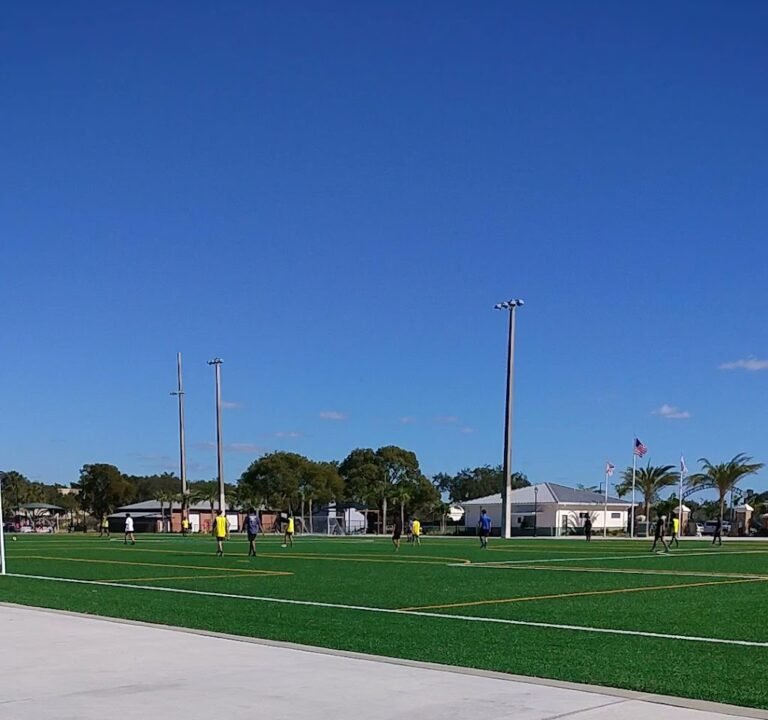 Soccer Field image 3