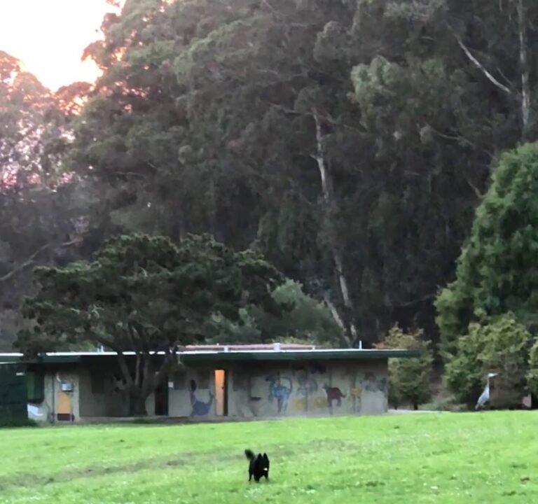 Soccer Field image 4