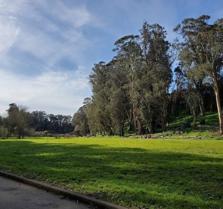 Soccer Field image 2