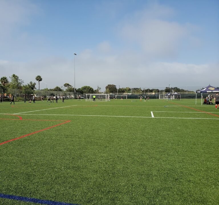 Soccer Field image 2