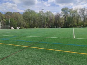 Soccer Field image 1