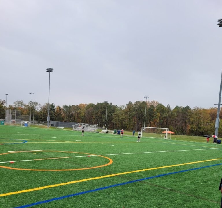 Soccer Field image 2