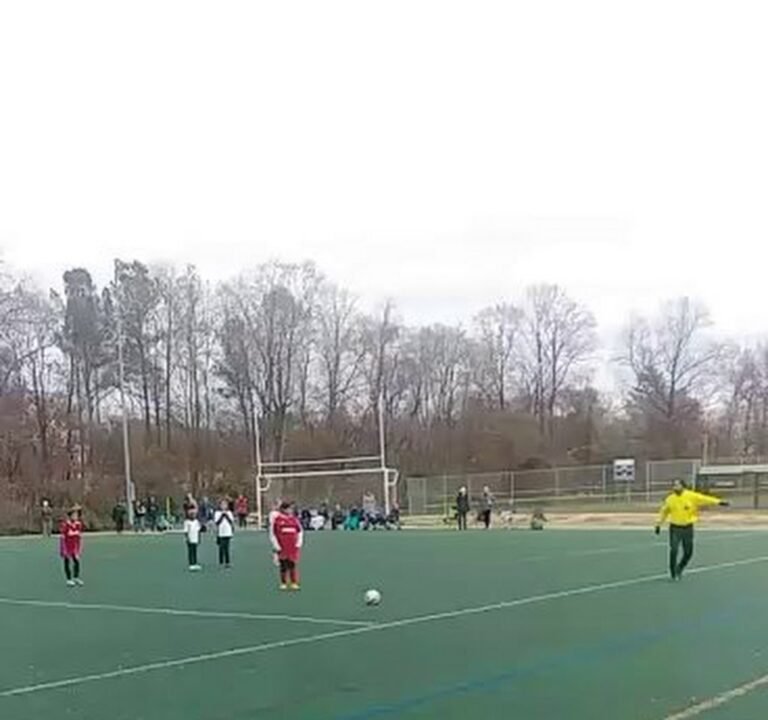 Soccer Field image 4