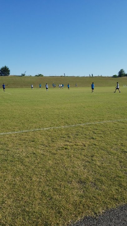 Soccer Field image 1