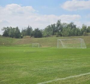 Soccer Field image 3