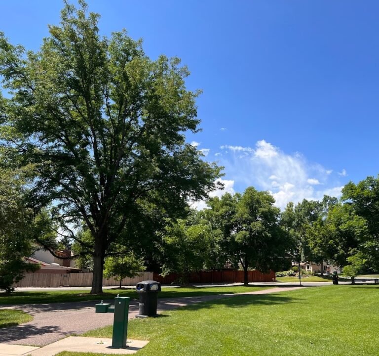 Soccer Field image 2
