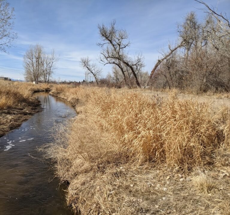 Soccer Field image 2