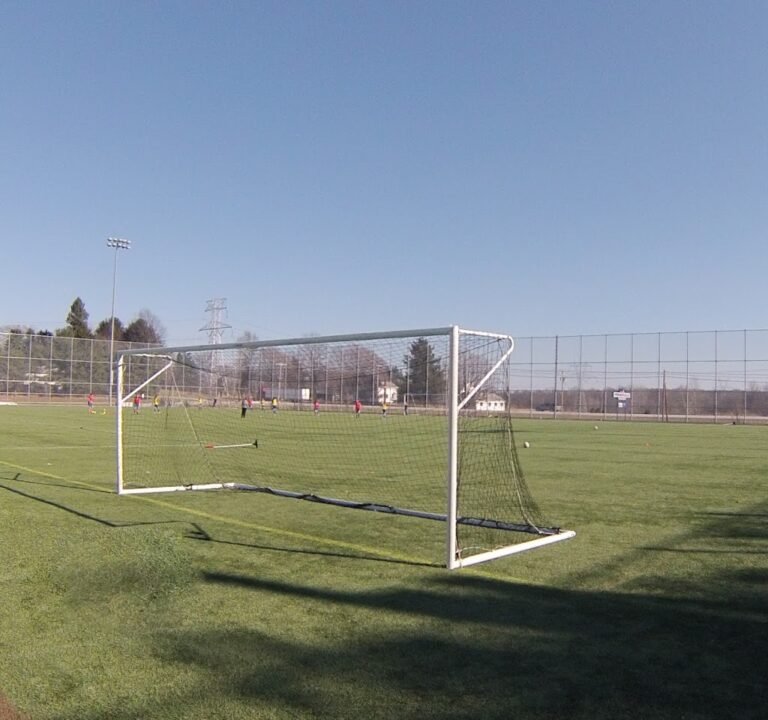 Soccer Field image 3