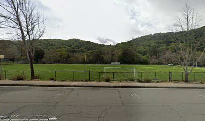 Soccer Field image 1