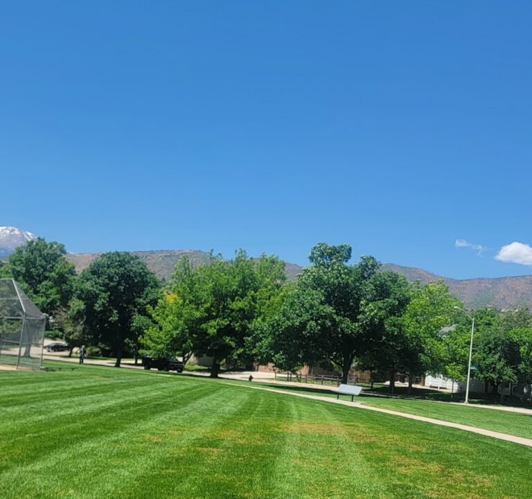 Soccer Field image 2