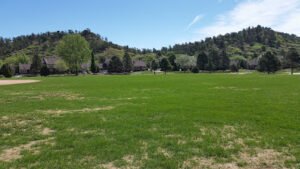Soccer Field image 1