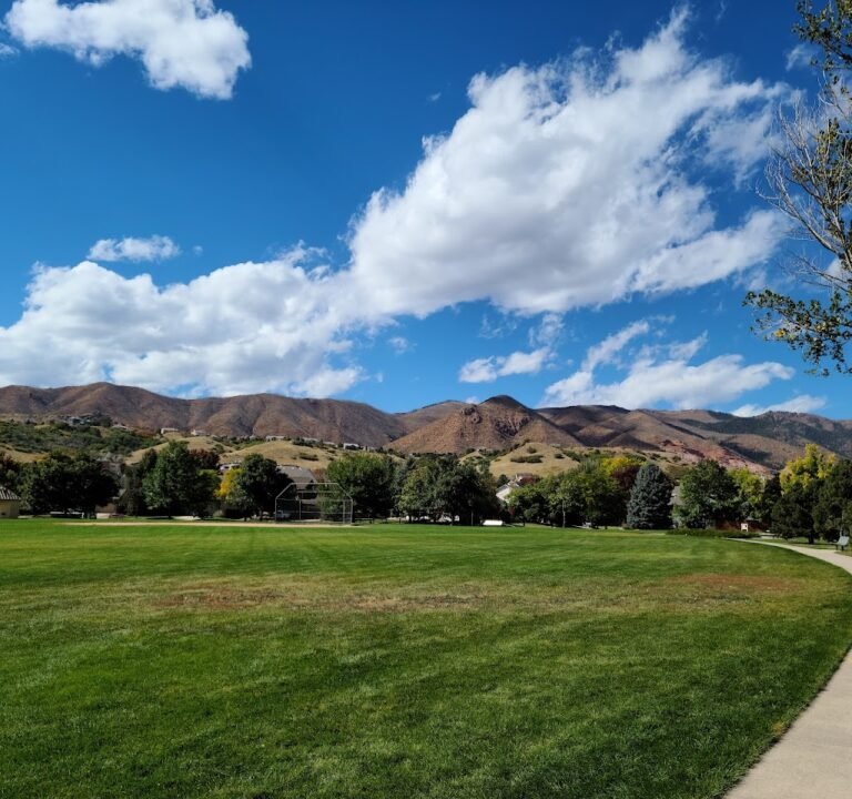 Soccer Field image 3