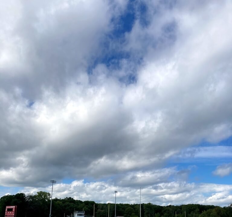 Soccer Field image 2