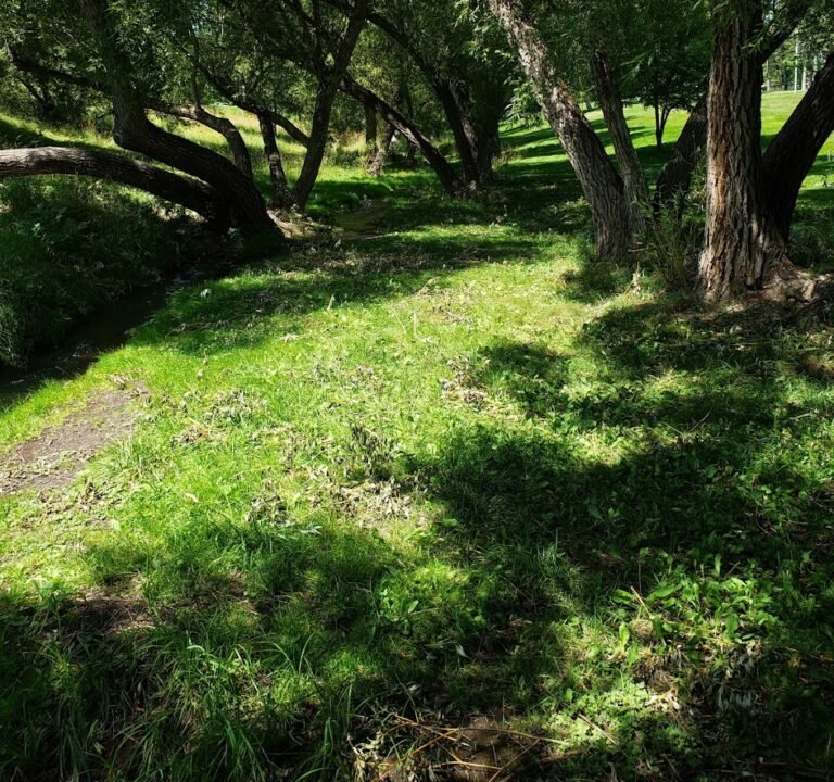 Soccer Field image 2