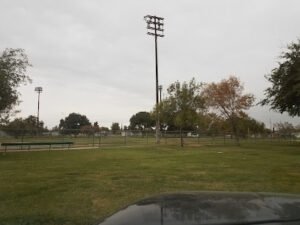 Soccer Field image 1