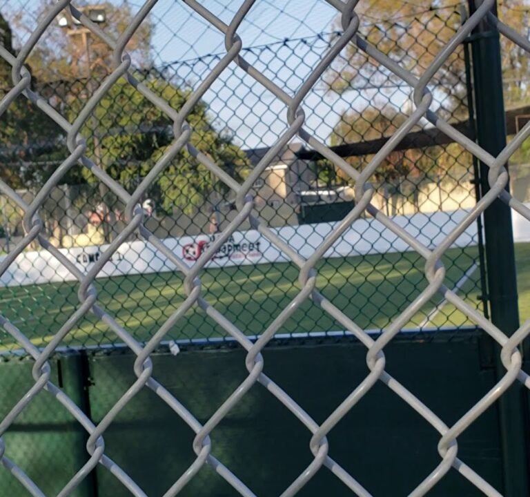 Soccer Field image 4